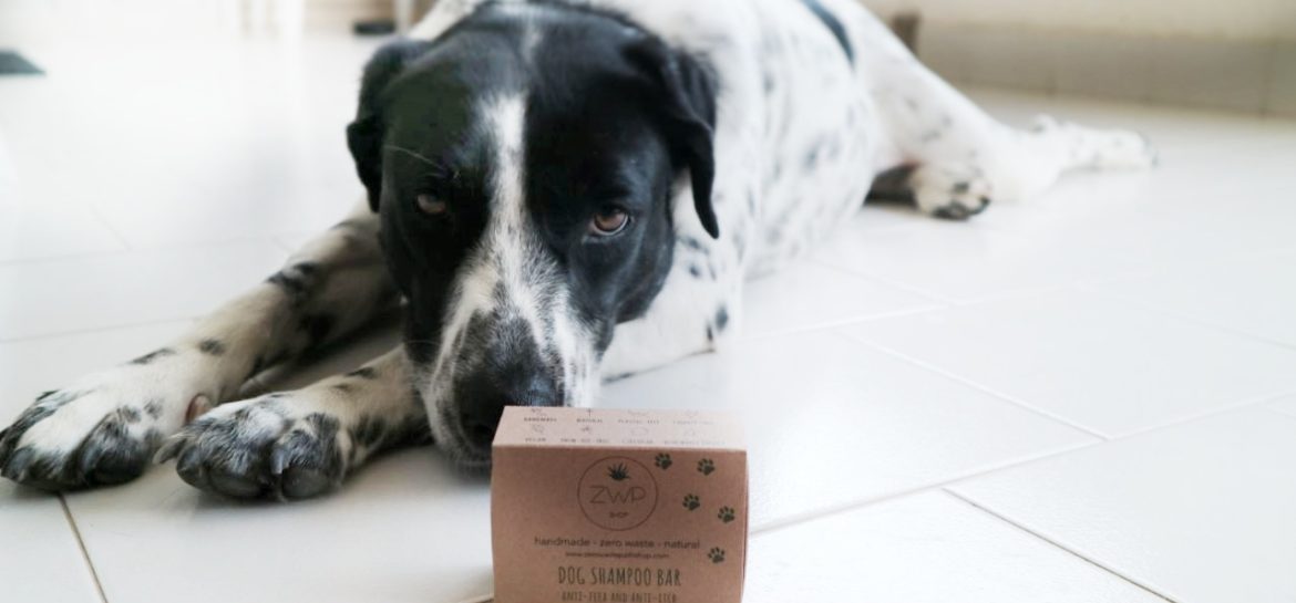 recensione-sapone-solido-per-cani-zero-waste-path-shop